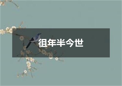 徂年半今世