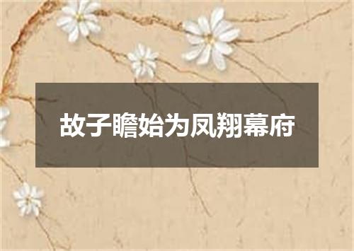 故子瞻始为凤翔幕府