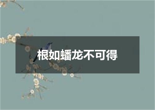 根如蟠龙不可得