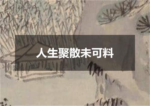 人生聚散未可料