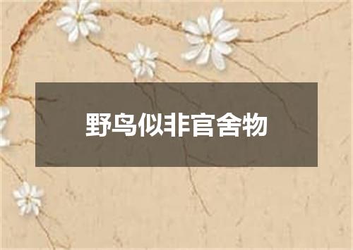 野鸟似非官舍物