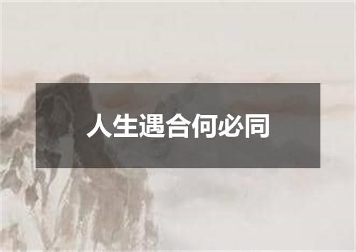 人生遇合何必同