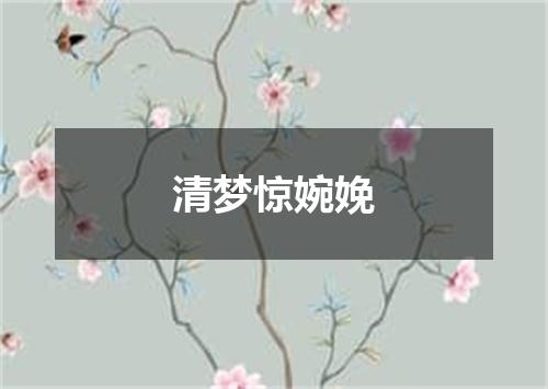 清梦惊婉娩