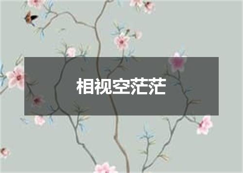 相视空茫茫