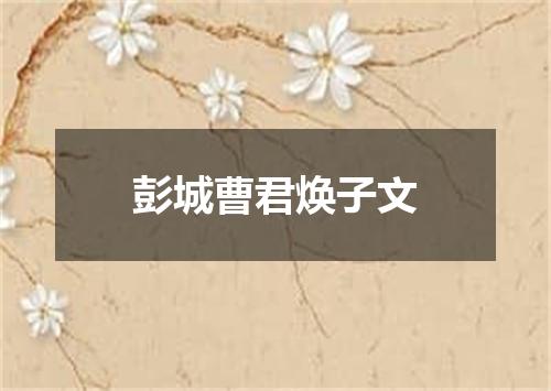 彭城曹君焕子文