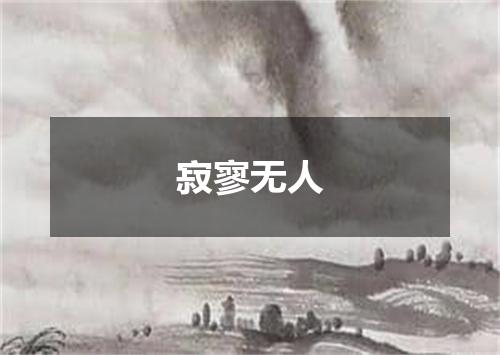 寂寥无人