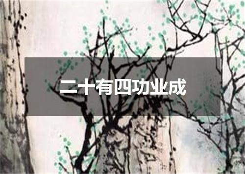 二十有四功业成