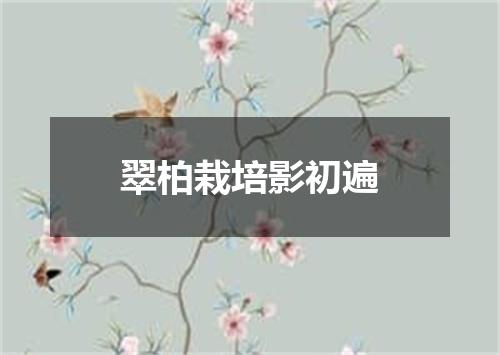 翠柏栽培影初遍