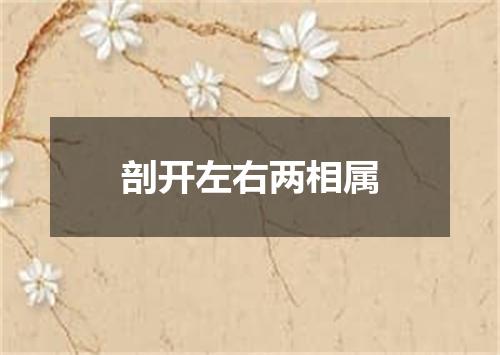剖开左右两相属