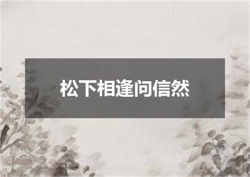 松下相逢问信然