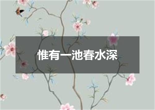 惟有一池春水深