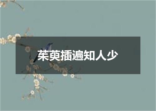 茱萸插遍知人少