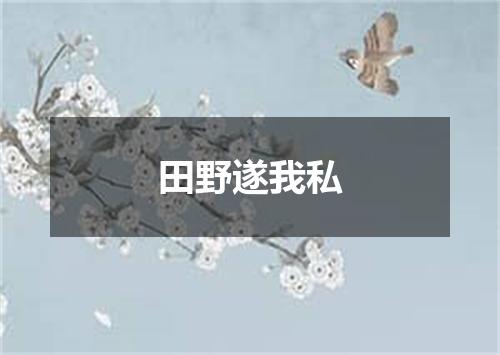 田野遂我私
