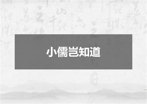 小儒岂知道