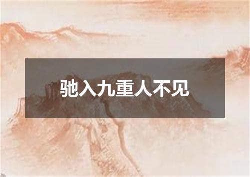 驰入九重人不见