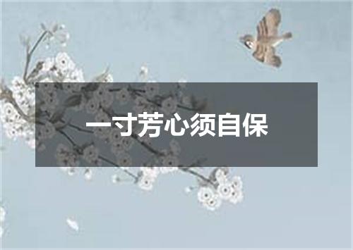 一寸芳心须自保