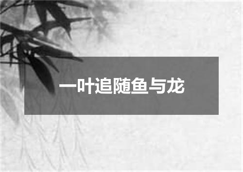 一叶追随鱼与龙