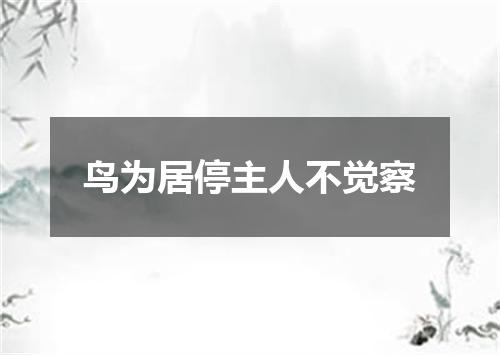 鸟为居停主人不觉察