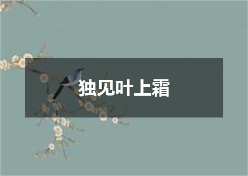 独见叶上霜