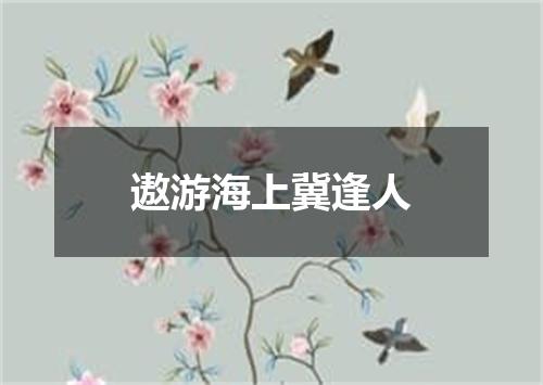 遨游海上冀逢人