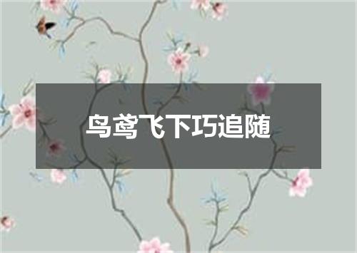 鸟鸢飞下巧追随