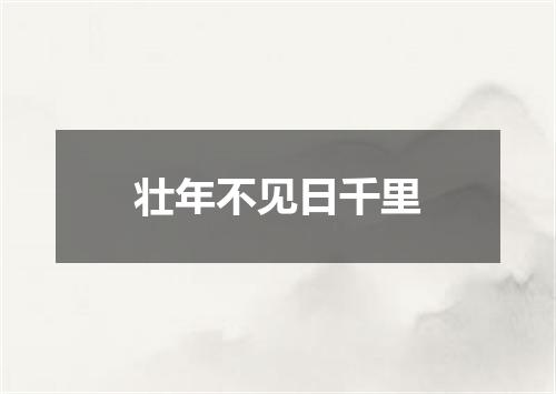 壮年不见日千里