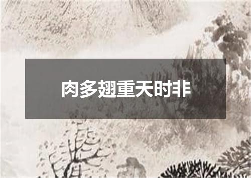 肉多翅重天时非