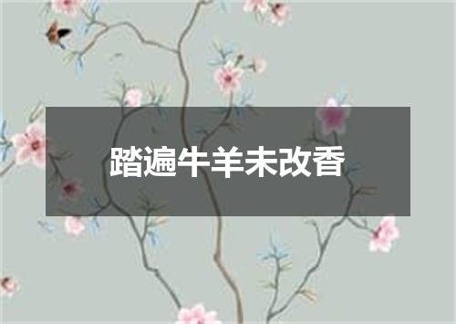 踏遍牛羊未改香