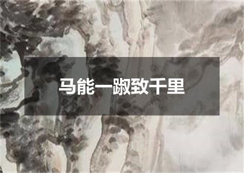 马能一踧致千里