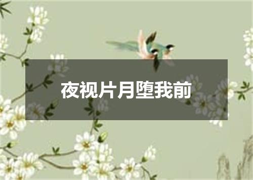 夜视片月堕我前