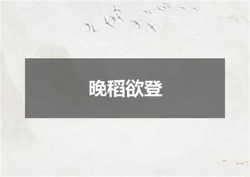 晚稻欲登
