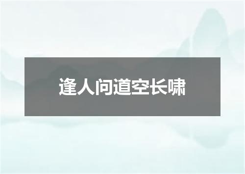 逢人问道空长啸