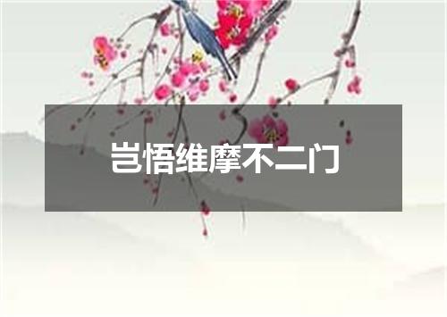 岂悟维摩不二门