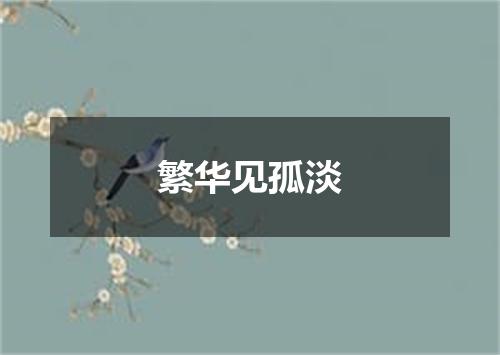 繁华见孤淡