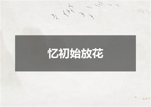 忆初始放花