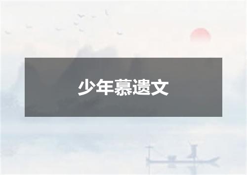 少年慕遗文