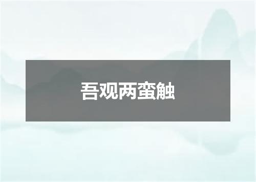 吾观两蛮触