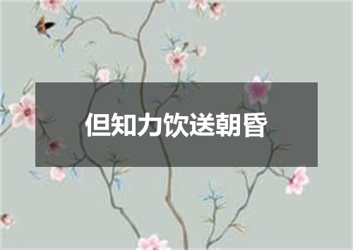 但知力饮送朝昏