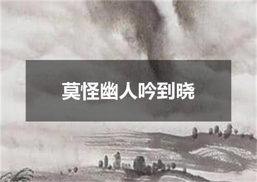 莫怪幽人吟到晓