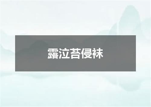 露泣苔侵袜