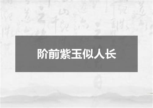 阶前紫玉似人长
