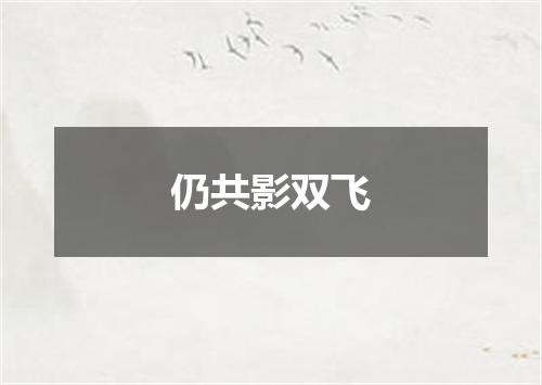 仍共影双飞