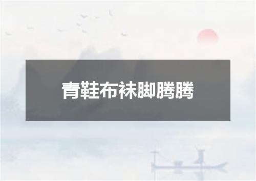 青鞋布袜脚腾腾