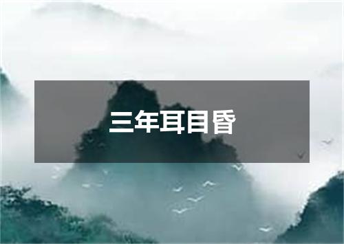 三年耳目昏