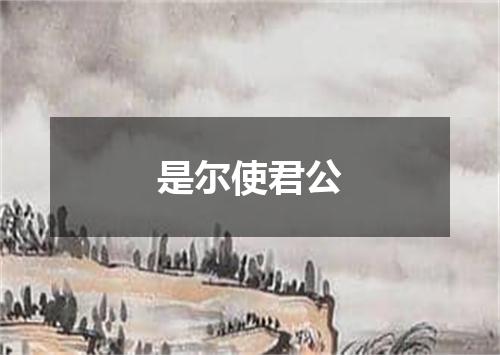 是尔使君公