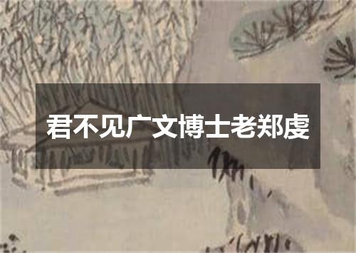 君不见广文博士老郑虔