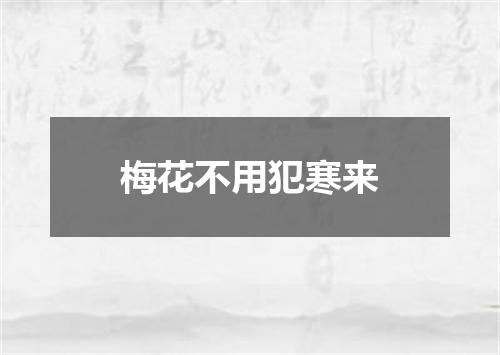 梅花不用犯寒来