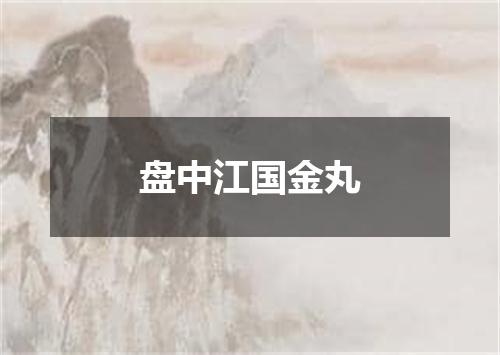 盘中江国金丸