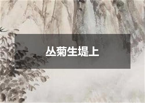 丛菊生堤上