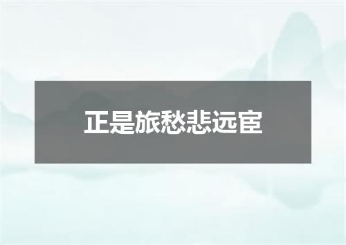 正是旅愁悲远宦